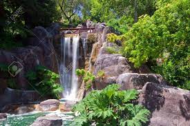 To enhance the experience, the surrounding flora and fauna creates a magical moment that delights visitors of all ages. Golden Gate Park Wasserfalle San Francisco Kalifornien Lizenzfreie Fotos Bilder Und Stock Fotografie Image 9946261