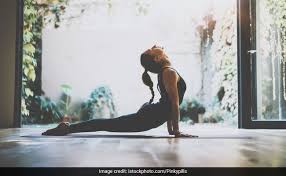 physical fitness components