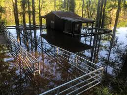 Maybe you would like to learn more about one of these? Lake Caddo Cabins Cabin