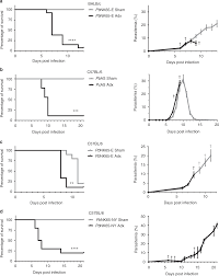 Adrenal Hormones Mediate Disease Tolerance In Malaria