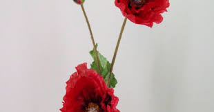 We did not find results for: Poppies Silk Flowers