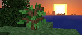 This item does not appear to have any files that can be experienced on archive.org. Taking Inventory Sapling Minecraft