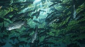 Introduction To The Bass Spawn Howstuffworks