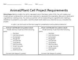 Maybe you would like to learn more about one of these? 3d Animal Cell Model Worksheets Teaching Resources Tpt