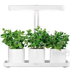 Ge lighting just released a new line of grow lights that are every bit as functional as they are fun to look at. 15 Of The Best Grow Lights To Help Your Houseplants Thrive Indoors