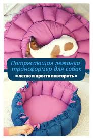 Potryasayushaya Lezhanka Transformer Dlya Sobak Legko I Prosto Povtorit Baby Sewing Projects Diy Dog Bed Pet Clothes Patterns