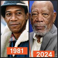 Birthday Wishes and Congratulations