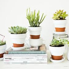 Black And White Painted Clay Pots Friday Favorites Succulent Pots Indoor Succulent Planter Diy Flower Pots