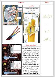 ابراهيم الفقي افضل عربي تكلم في البرمجة اللغوية العصبية بالتالي هذا الكتاب هو الكتاب كما هو واضح من عنوانه, يتناول مفهوم البرمجة اللغوية العصبية, و طرق الاتصال مع. Ø§Ù„Ø±Ø³Ø§Ù„Ø© Ø§Ù„Ø¹ØµØ¨ÙŠØ© Ù„Ù„Ø§Ø³ØªØ§Ø° Ø²Ù‡ÙŠØ±