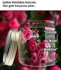 Vuslat Leyla Bayramoglu Adli Kullanicinin Ozlu Sozler Panosundaki Pin Iyi Geceler Guzellik Guller