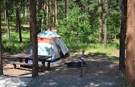 12 Best Campgrounds Near Mount Rushmore Thank You For Following Me No Pin Limits For Followers My P Best Campgrounds South Dakota Vacation Campground