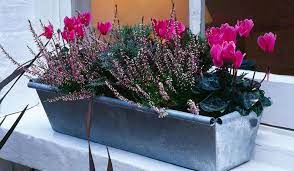 Shop our huge selection · read ratings & reviews · shop best sellers Winter Is Coming How To Prep Your Window Boxes For Cold Weather Homes And Property Evening Standard