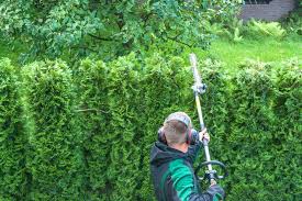 Gartenliebhaber legen wert auf eine gepflegte gestaltung ihres naturparadieses. Nasse Hecke Schneiden Ruckschnitt Bei Schlechtem Wetter