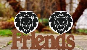 Her sunny personality will break down his barriers and once his walls are down, he would want to get into a relationship with her. Leo And Leo Friendship Compatibility
