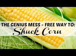 Nicole's here walk us through which ones pop and which ones just plain shuck. The Genius Mess Free Way To Shuck Corn Shucking Corn Corn Mess Free