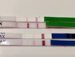 Fugleinfluenza kan smitte til mennesker, men der er dog rapporteret om meget få tilfælde med de typer, der i øjeblikket cirkulerer i europa. Festeblodning Eller Mensen Desperat Hapklamring Babyverden Forum