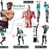 The back contains the spinal cord and spinal column, as well as three different muscle groups. 1