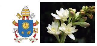 Joseph's altars in sicily are similar in design, each with three tiers and each filled with bread, fruits and vegetables, sweets, and flowers, but instead of a st. Feast Of St Joseph An Inside Look At Pope Francis Spikenard Plant
