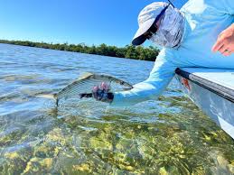 Capt. Luke Kelly (@flats_eye_view) • Instagram photos and videos