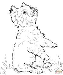 West Highland White Terrier Coloring Page From Dogs Category Select From 27538 Printable Crafts Of Ca Dog Coloring Book Dog Coloring Page Puppy Coloring Pages