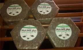 Mineral Blok Plus Untuk Penggemukan Sapi Info Teknologi Badan Litbang Pertanian
