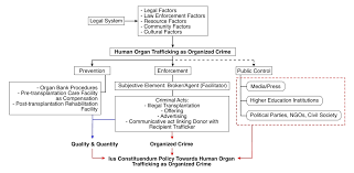 REFORMING CRIMINAL POLICY ON HUMAN ORGAN TRAFFICKING IN INDONESIA