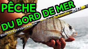 La Peche Au Sar Au Flotteur Et Feeder Youtube