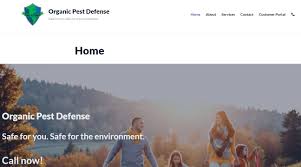 George is currently home to the longest continually operating mormon temple and residents of the town practice the religion by a clear majority. The 8 Best Options For Pest Control In Utah 2021