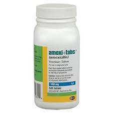 Amoxi Tabs 100mg Tablets