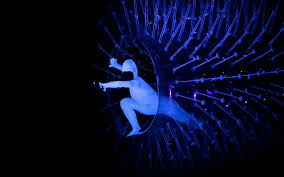 Teatro Rossini 15 02 2019 Night Garden Di Evolution Dance Theater Civitanova Danza