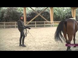 30 Apprendre L Extension D Encolure Youtube Encolure