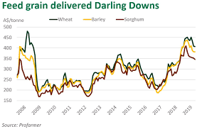 No Relief From Grain Pain Meat Livestock Australia