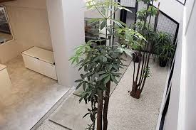 Punya lahan lebih di belakang rumah? 8 Inspirasi Desain Taman Kecil Di Belakang Atau Samping Rumah Arsitag Com Line Today