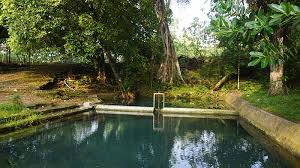 Kita mungkin menangis karena sedih air mata juga sifatnya menular. Ayo Kenali Jenis Mata Air Di Sekitar Kita Seputargk Id