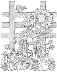 Sunflower Pumpkin Patch Coloring Page Sunflower Coloring Pages Fall Coloring Pages Pumpkin Coloring Pages