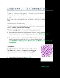 Use your summaries and the gizmo to answer the following questions: Cell Division Gizmo Answer Key Modified Cell Division Gizmo Doc Document Worksheets Are Section 102 Cell Division Cell Structure Exploration Activities Cell Energy Cycle Gizmo Answer Questions Ebooks Pdf Amoeba