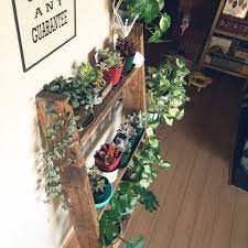棚 ラダーｄiy niko and 観葉植物 多肉植物 などのインテリア実例 2015 02 10 16 50 45 roomclip ルームクリップ 多肉植物 プラントハンガー 観葉植物