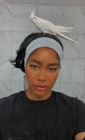 LOST AND FOUND PETS & REHOMING IN LAFAYETTE, LOUISIANA