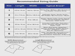 Size Charts Believe In Pets Miniature Poodle Size Chart