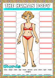 Body parts esl picture dictionary worksheets to improve vocabulary. Worksheet Body Parts