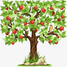 Cartoon Apple Tree Apple Fruit Tree Oriole Png Image Tree Illustration Tree Art Fruit Cartoon