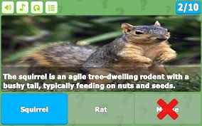 Average rattiemama jun 13 20 2421 plays 2. Trivia Quiz Game 2020 For Android Apk Download