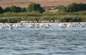 National Parks Of Turkey Milli Parklar Park Doga