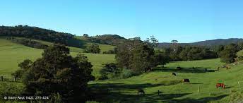 Explore a selection of 40 holiday homes, including holiday houses, cottages & more. Milton Nsw Nsw South Coast