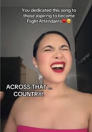 Song Written about Wife That A Flight Attendant