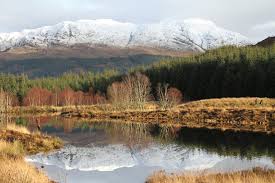 0131 516 3433 email protected Conservation The Scottish Gift