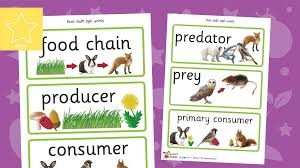 A consumer picks survey found consumer scores of america's popular restaurants. Teacher S Pet Food Chain Labels