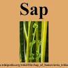 Sap erp is an enterprise resource planning software developed by the german company sap se. 1