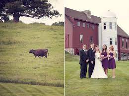 Barn At Gibbet Hill Massachusetts Wedding Venue Farm To Fork Groton Ma Newenglandwedding England Wedding Gibbet Hill Wedding Massachusetts Wedding Venues