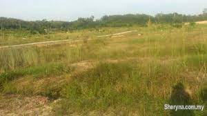 We did not find results for: Land For Sale Tanah Untuk Dijual Jalan Kebun Shah Alam Selangor Land For Sale In Shah Alam Selangor Sheryna Com My Mobile 542852